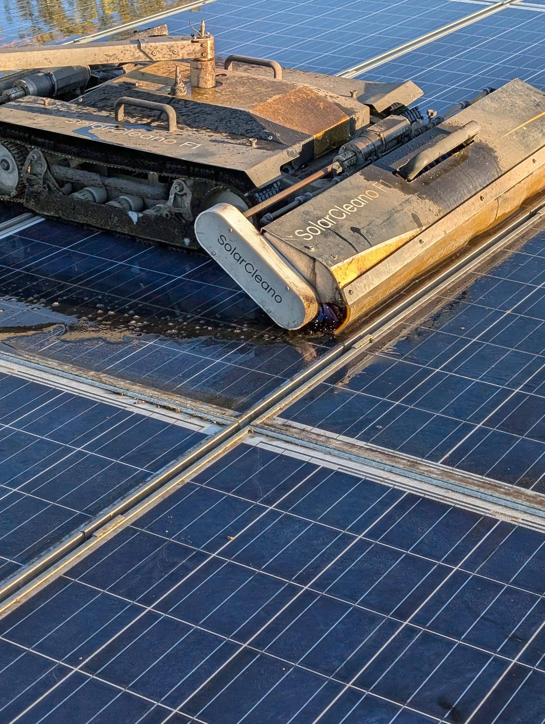 Gros plan d'un robot SolarCleano F1 et de sa brosse rotative sur des modules mouillés