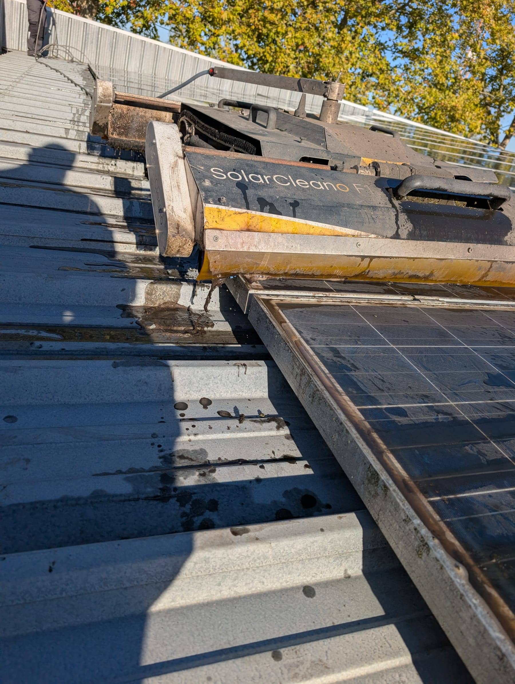 Robot SolarCleano F1 en bord de rangée sur une toiture en bac acier, au soleil couchant