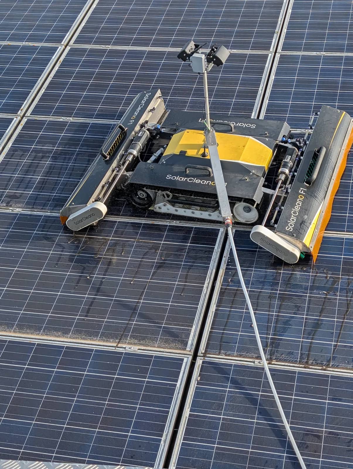 Gros plan d'un robot SolarCleano F1 jaune et noir sur des panneaux mouillés, un tuyau au premier plan